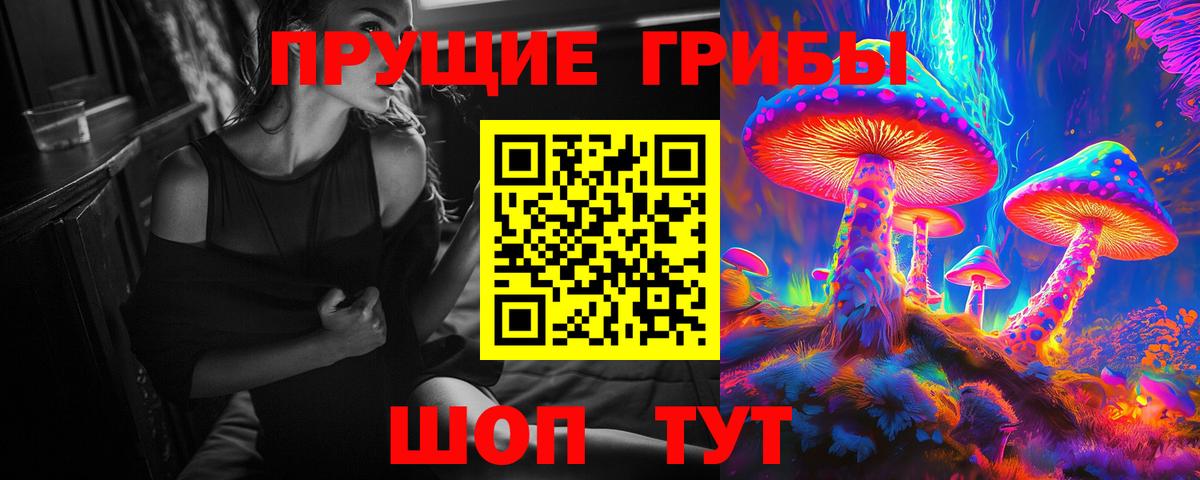Псилоцибиновые грибы GOLDEN TEACHER Пугачёв
